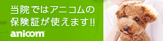 当院ではアニコムの保険証が使えます!!